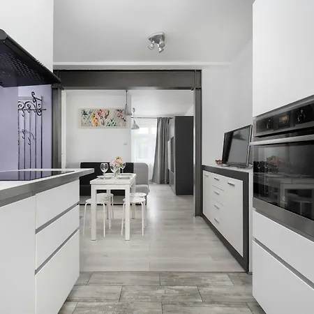 Lilac With Bathtub In Close To The Park By Renters 公寓 *
